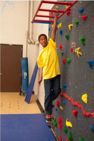 Monkey Bars - Image 3
