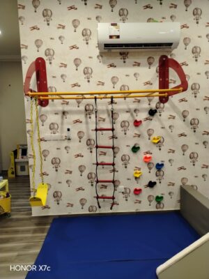 Monkey Bars - Image 2